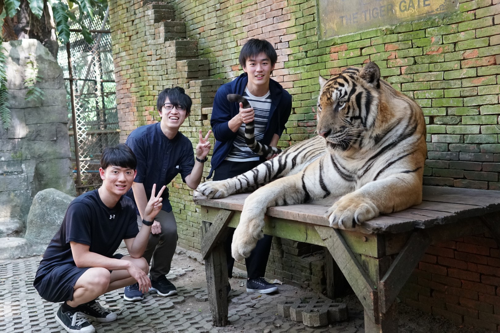 タイガーキングダムにて